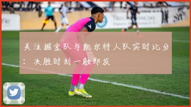 关注掘金队与凯尔特人队实时比分：决胜时刻一触即发