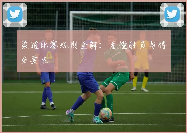 柔道比赛规则全解：看懂胜负与得分要点